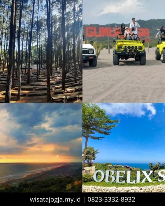 hutan pinus gumukpasir pantai parangtritis obelix sea view